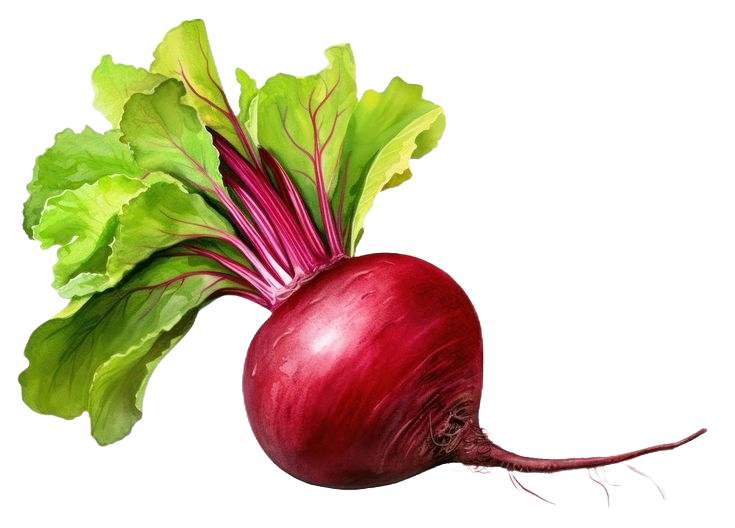 Beetroot