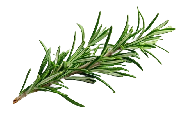 Dehydrated/Dried Rosemary