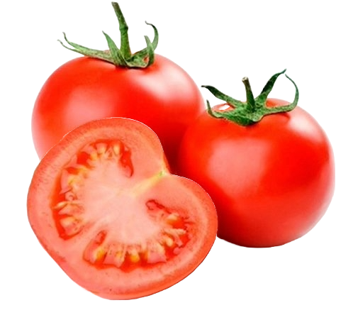 Tomato
