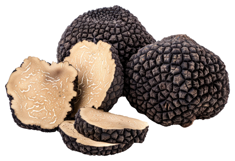 Truffle Mushroom